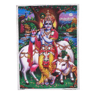 Lord Shri Krishna Photo - Medium